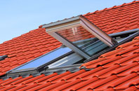 Trenerth roof window