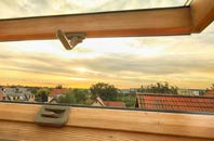 rated Trenerth roof window companies